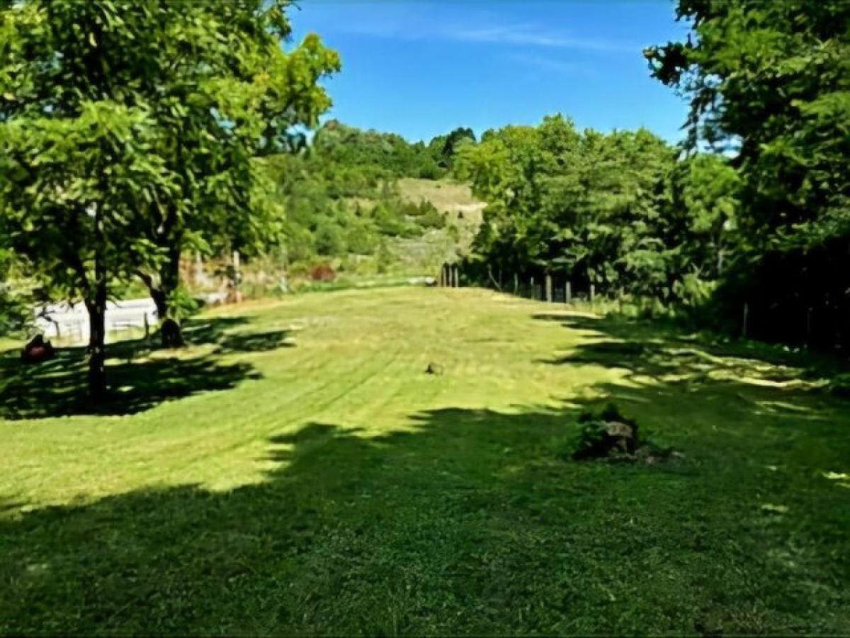 Picture of Residential Land For Sale in Carlisle, Kentucky, United States