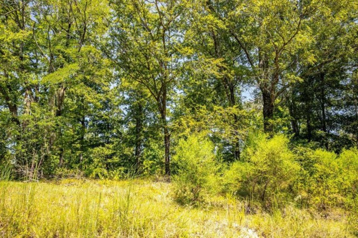 Picture of Residential Land For Sale in Vicksburg, Mississippi, United States