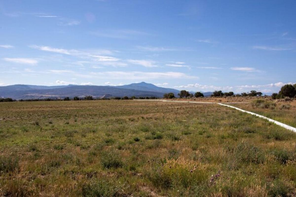 Picture of Residential Land For Sale in Montrose, Colorado, United States