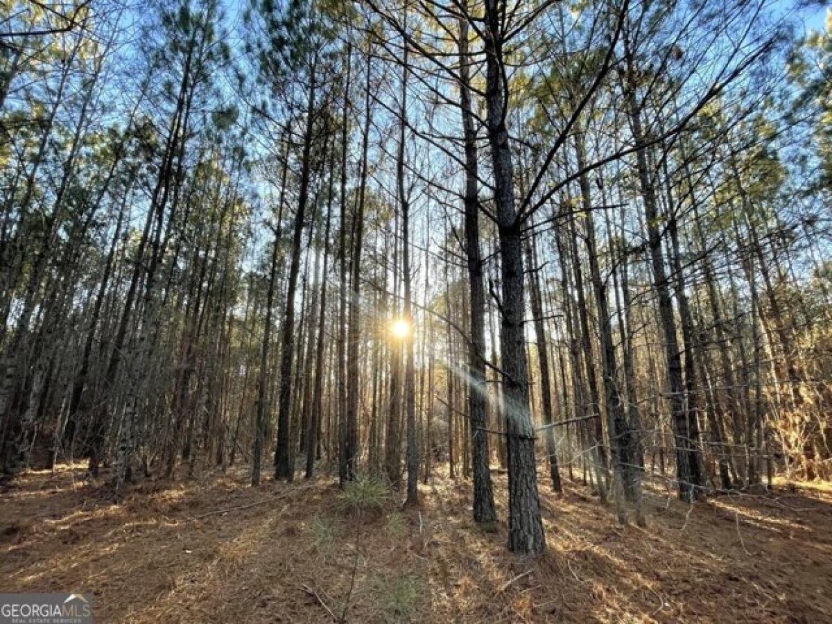 Picture of Residential Land For Sale in Elberton, Georgia, United States