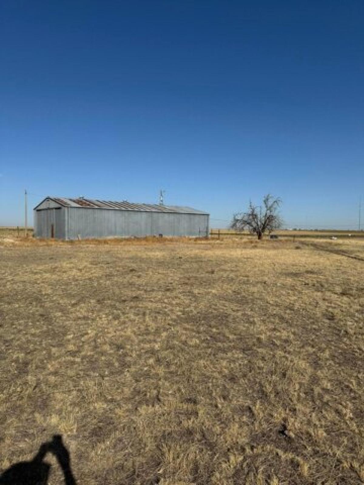 Picture of Residential Land For Sale in Happy, Texas, United States