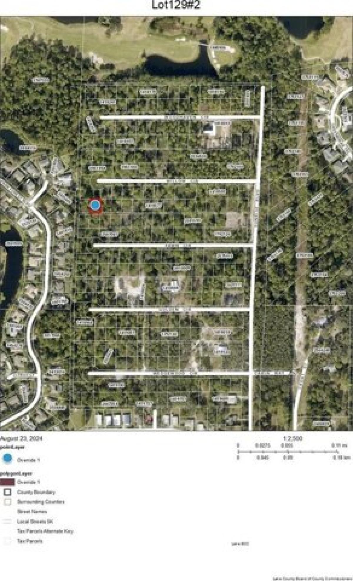 Picture of Residential Land For Sale in Mount Dora, Florida, United States