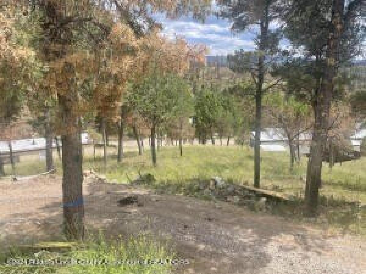 Picture of Residential Land For Sale in Ruidoso, New Mexico, United States