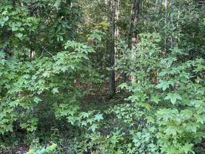 Residential Land For Sale in Orangeburg, South Carolina