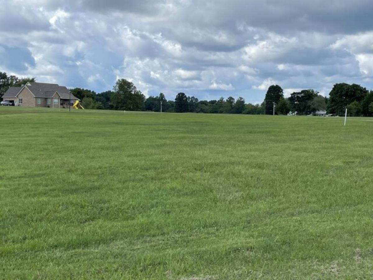 Picture of Residential Land For Sale in Hillsboro, Tennessee, United States