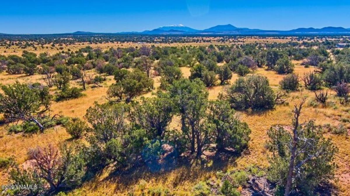 Picture of Residential Land For Sale in Williams, Arizona, United States