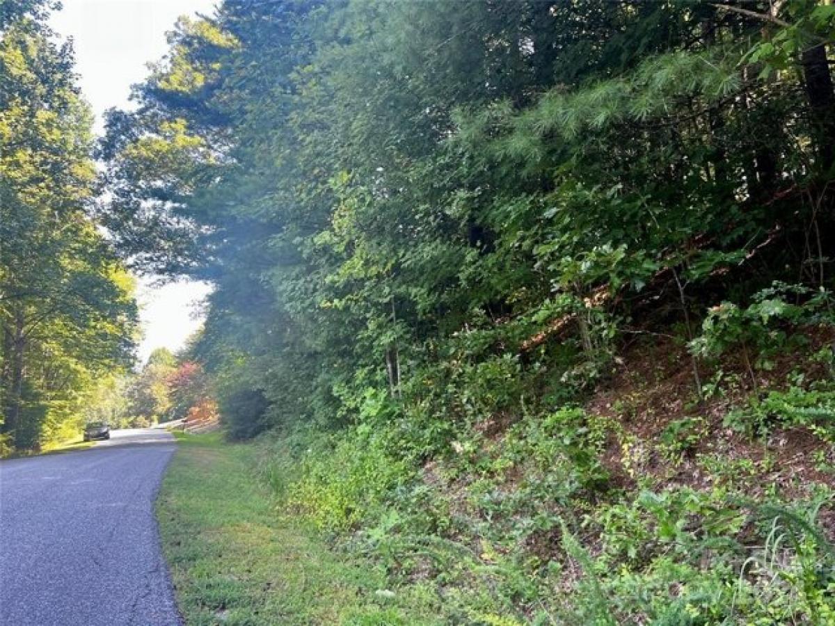 Picture of Residential Land For Sale in Pisgah Forest, North Carolina, United States