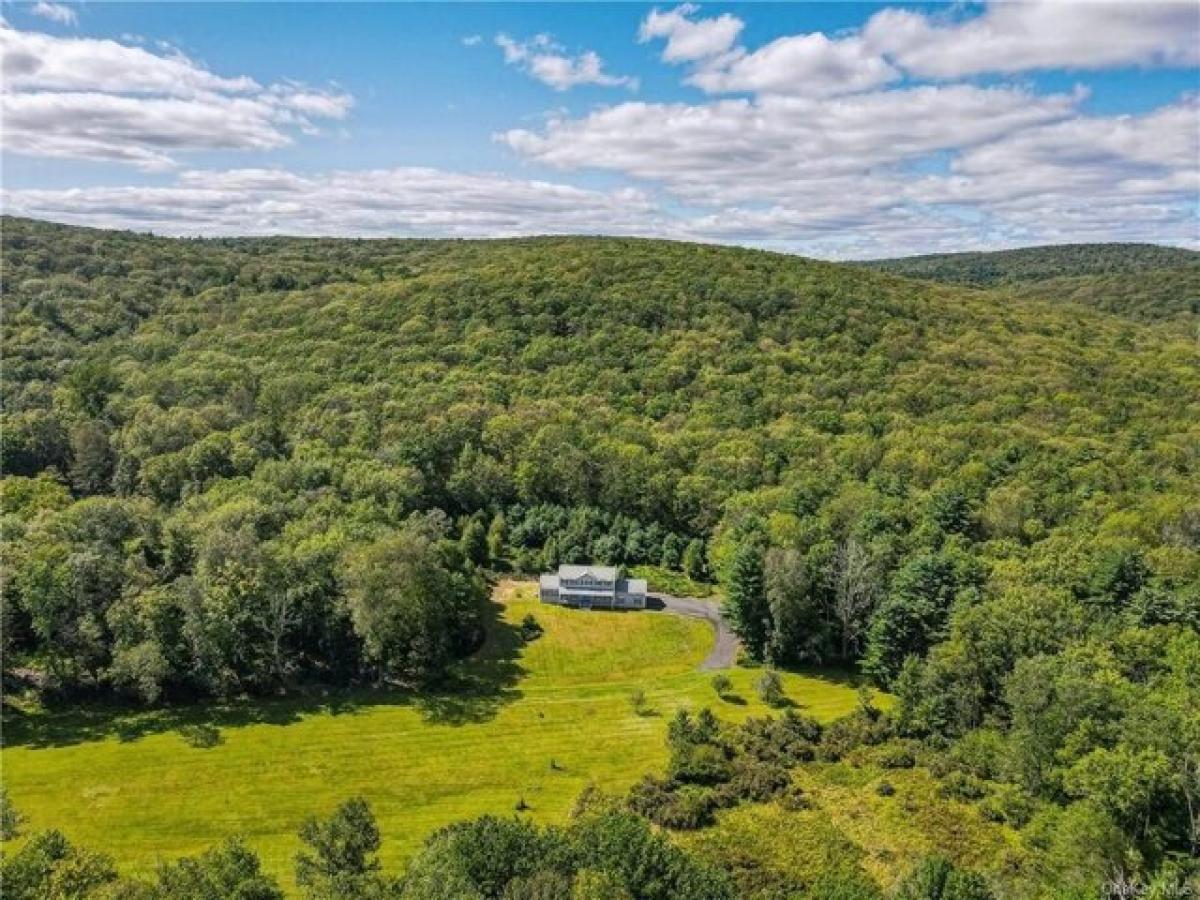 Picture of Home For Sale in Wurtsboro, New York, United States