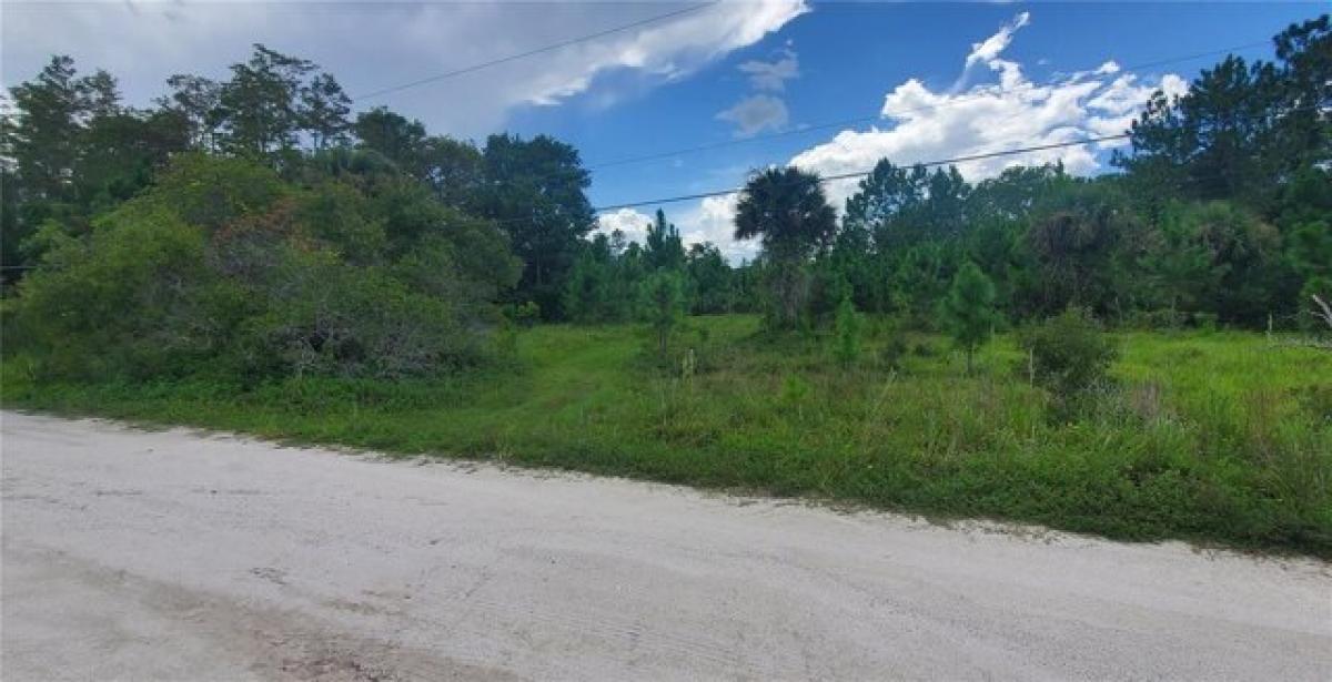 Picture of Residential Land For Sale in New Smyrna Beach, Florida, United States