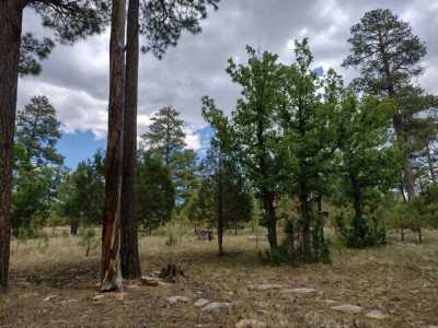 Residential Land For Sale in Happy Jack, Arizona