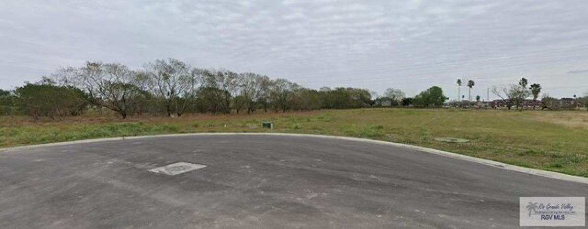 Picture of Residential Land For Sale in Harlingen, Texas, United States