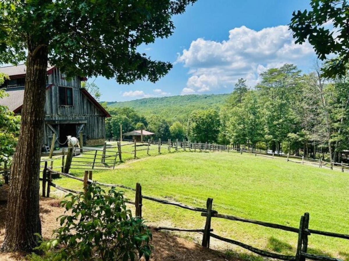 Picture of Residential Land For Sale in Rising Fawn, Georgia, United States