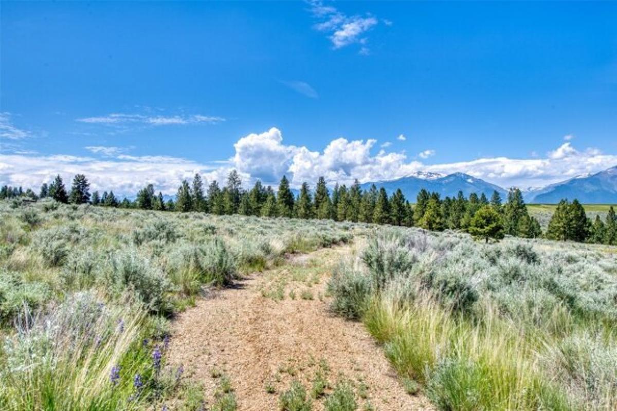 Picture of Residential Land For Sale in Stevensville, Montana, United States