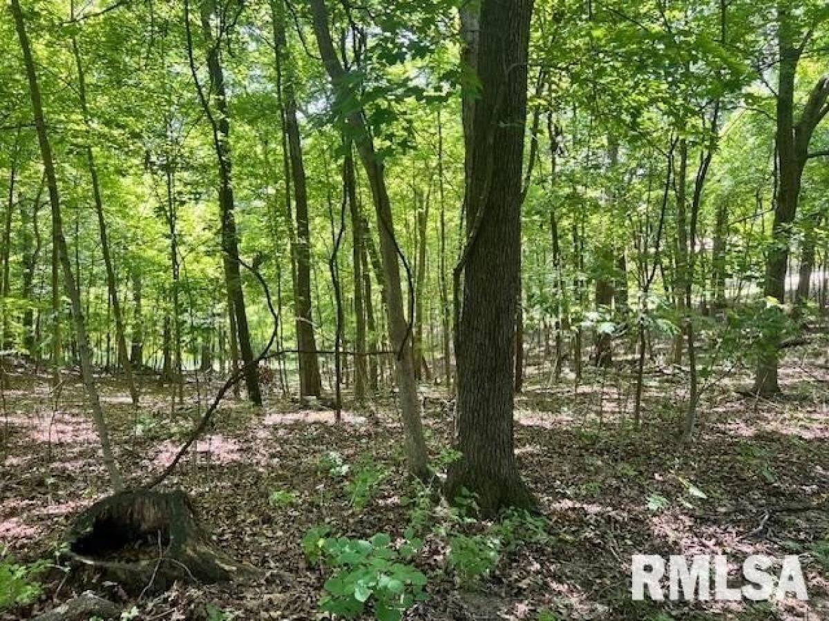 Picture of Residential Land For Sale in Germantown Hills, Illinois, United States