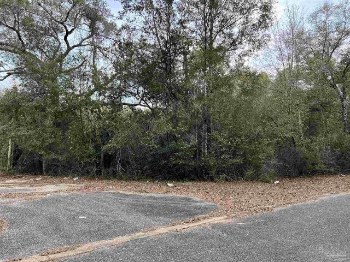 Picture of Residential Land For Sale in Pensacola, Florida, United States