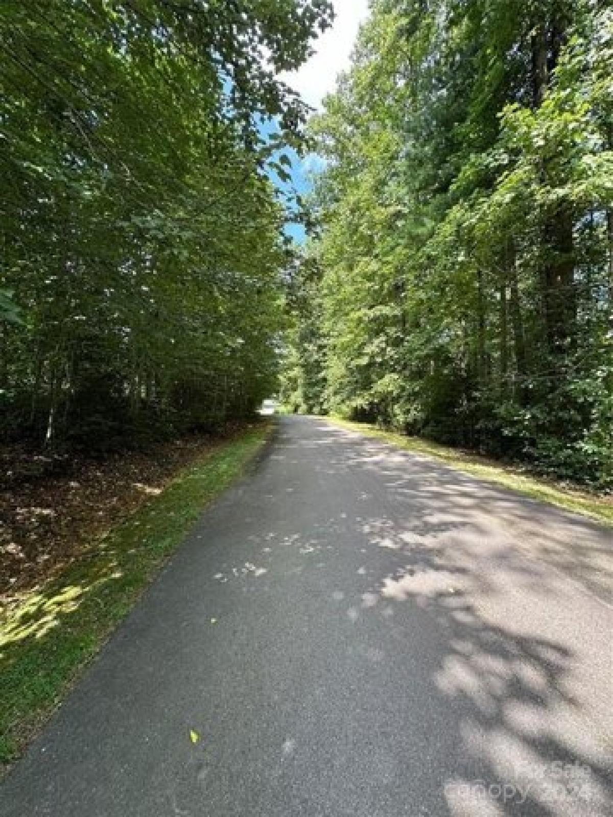 Picture of Residential Land For Sale in Mills River, North Carolina, United States