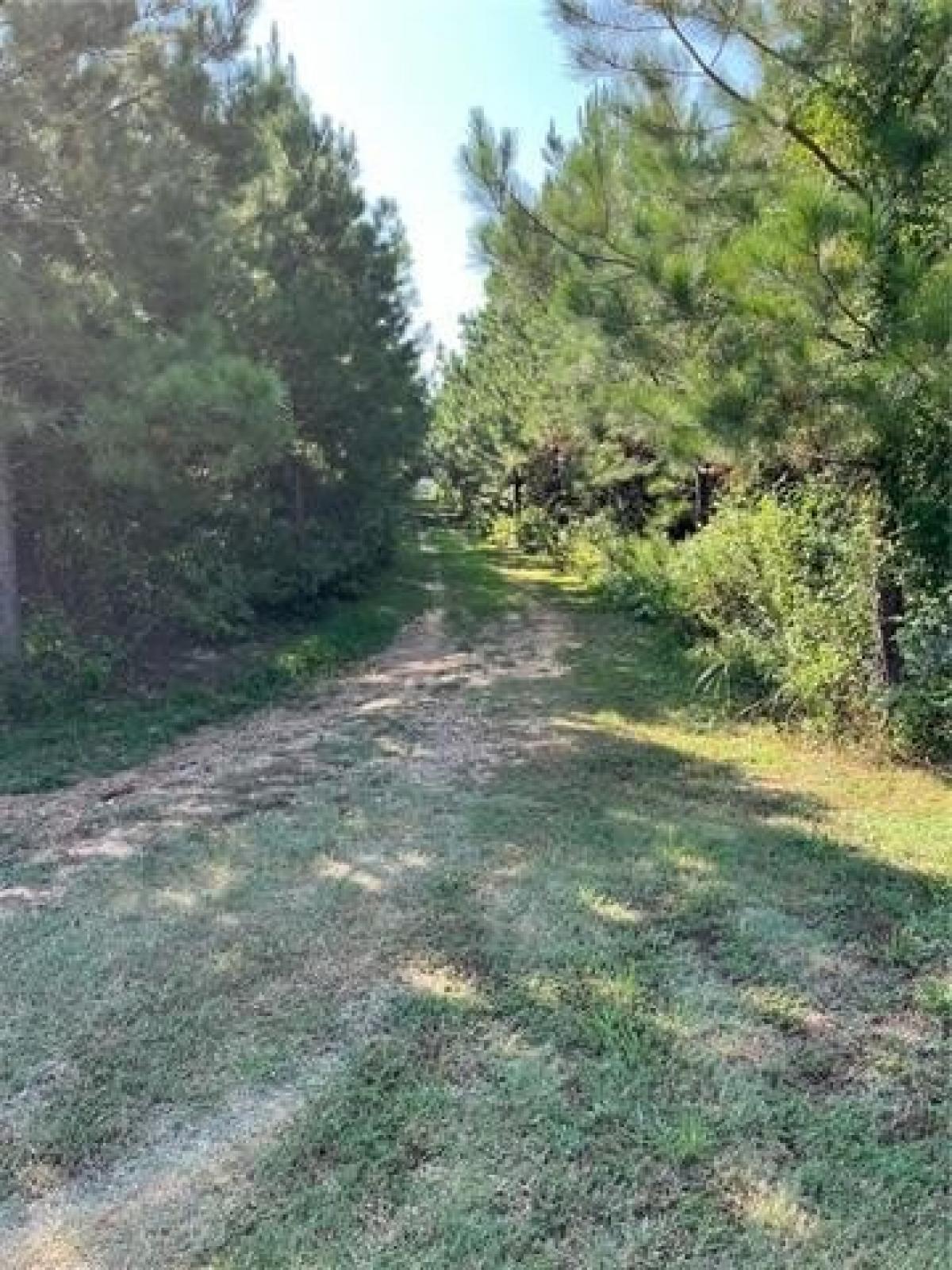 Picture of Home For Sale in Coushatta, Louisiana, United States