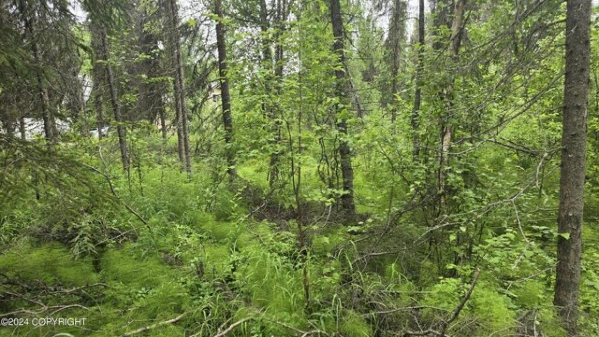 Picture of Residential Land For Sale in Houston, Alaska, United States