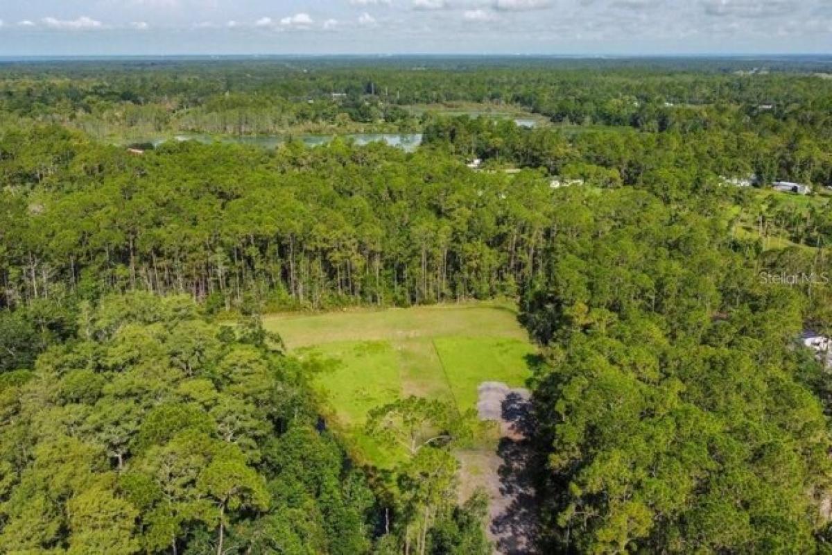 Picture of Residential Land For Sale in Geneva, Florida, United States