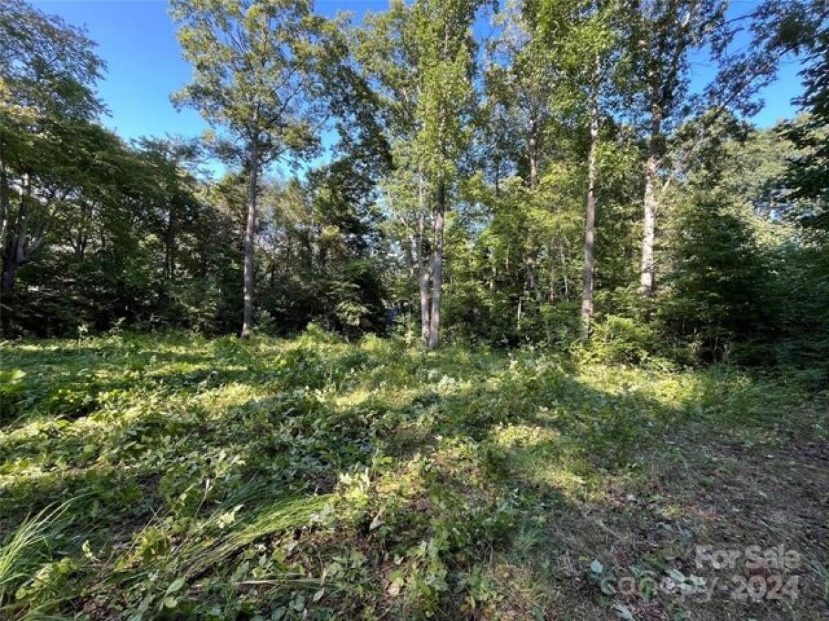 Picture of Residential Land For Sale in Black Mountain, North Carolina, United States