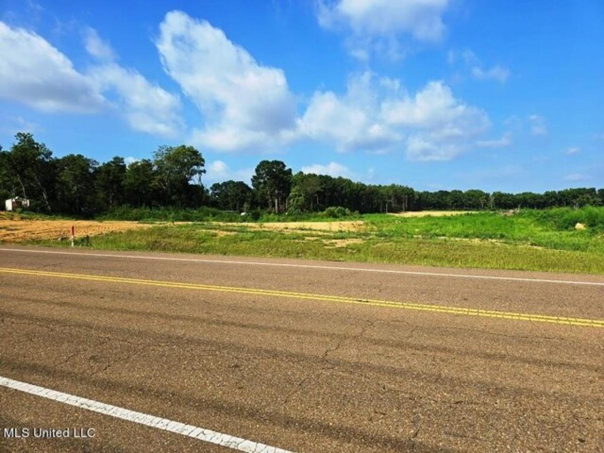 Picture of Residential Land For Sale in Senatobia, Mississippi, United States