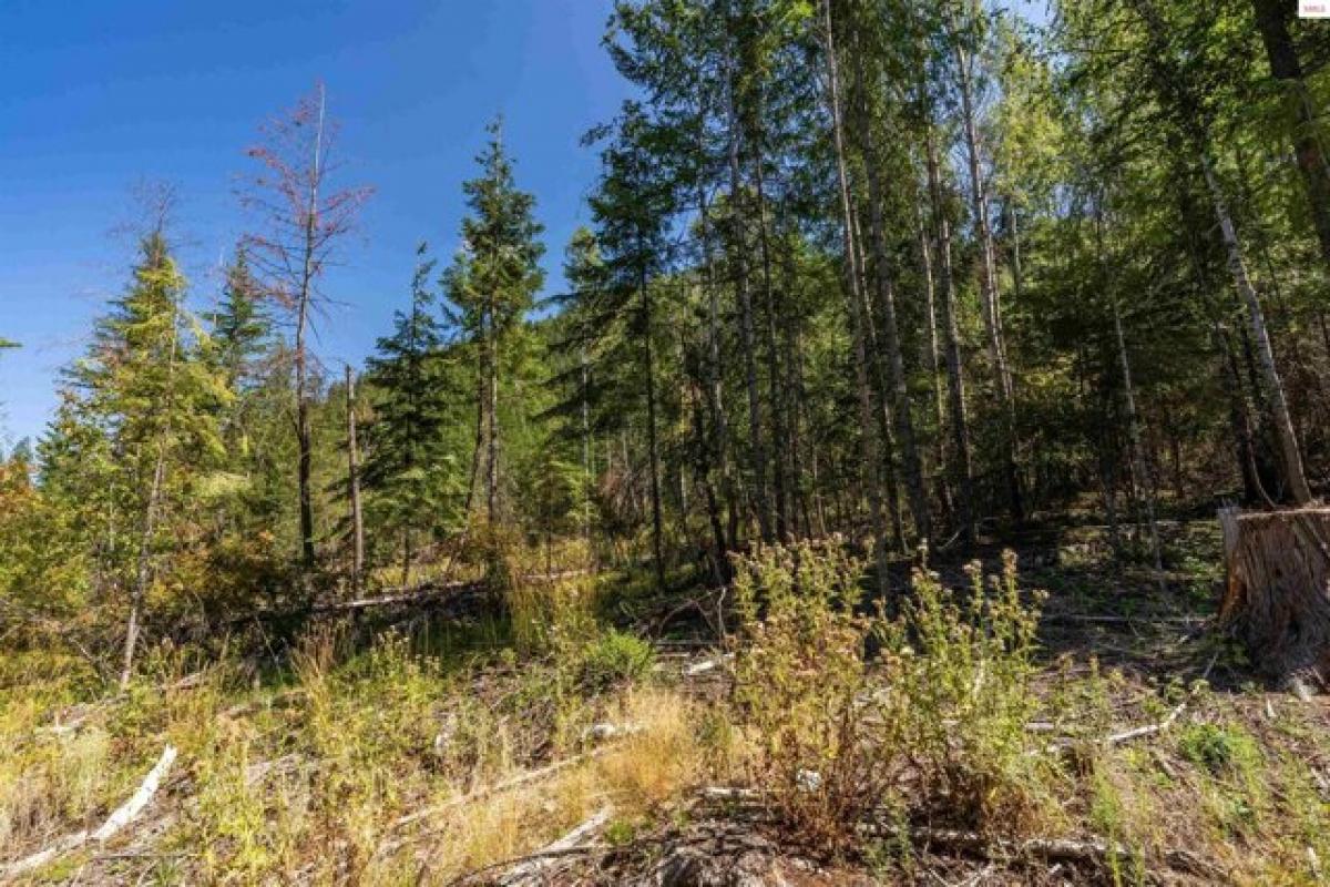 Picture of Residential Land For Sale in Bonners Ferry, Idaho, United States