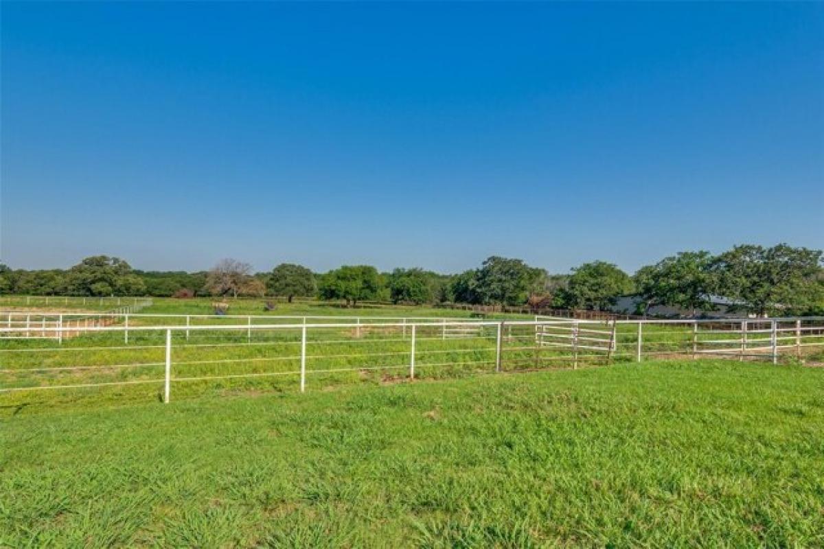 Picture of Residential Land For Sale in Pilot Point, Texas, United States