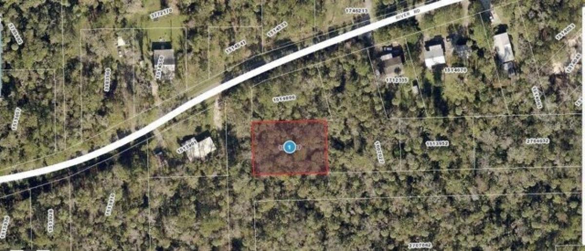 Picture of Residential Land For Sale in Astor, Florida, United States