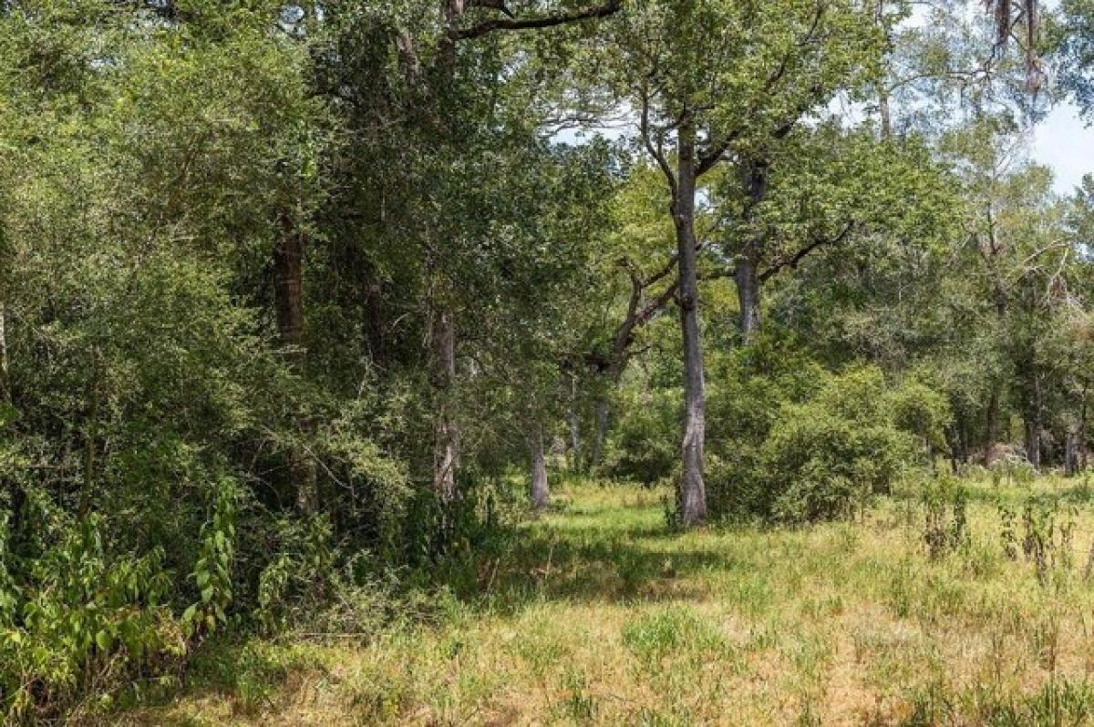 Picture of Residential Land For Sale in Columbus, Texas, United States