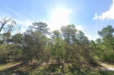 Residential Land For Sale in Ocklawaha, Florida