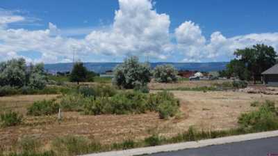 Residential Land For Sale in Cedaredge, Colorado