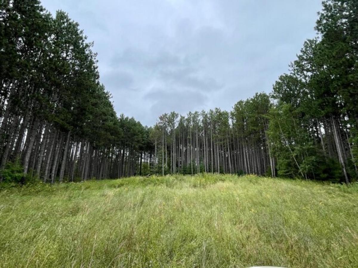 Picture of Residential Land For Sale in Bemidji, Minnesota, United States