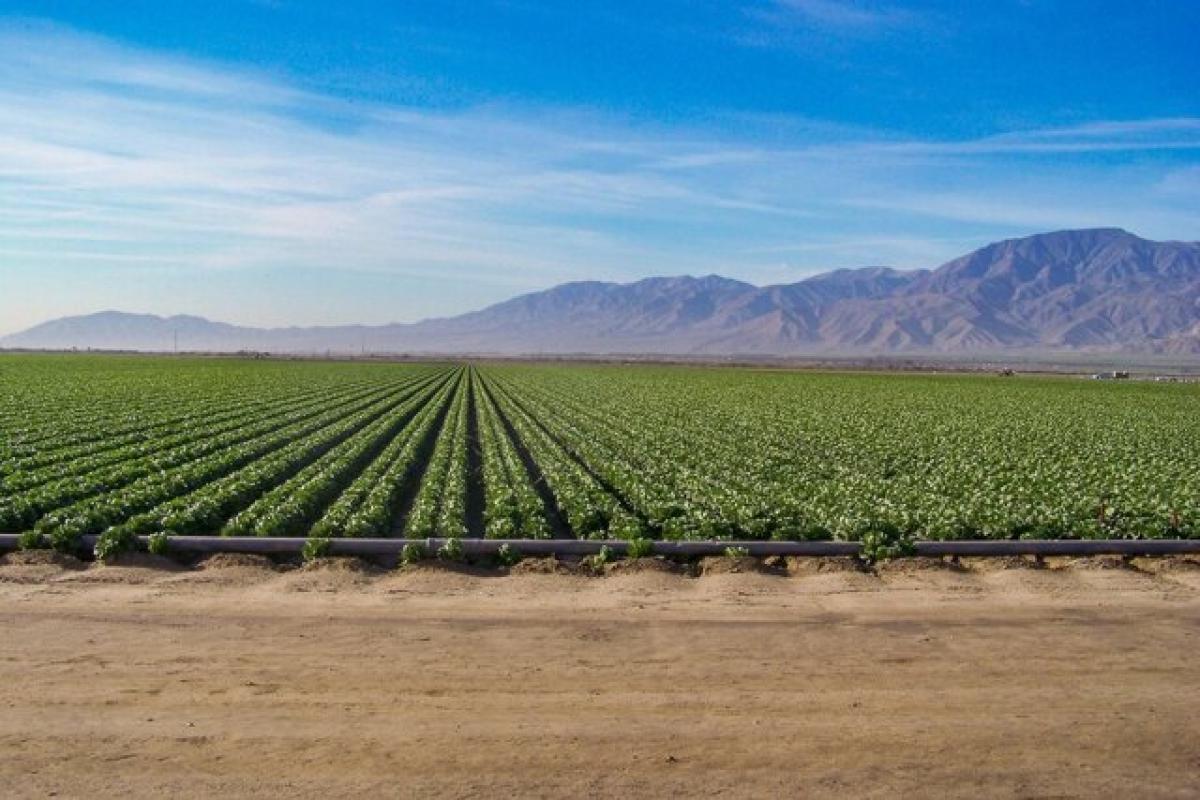 Picture of Residential Land For Sale in Thermal, California, United States