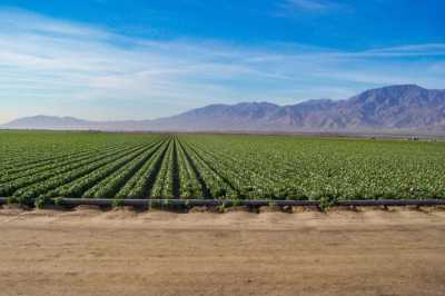 Residential Land For Sale in Thermal, California