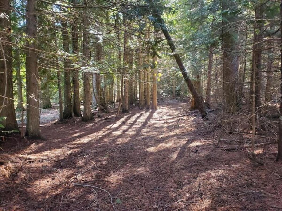 Picture of Home For Sale in Loon Lake, Washington, United States