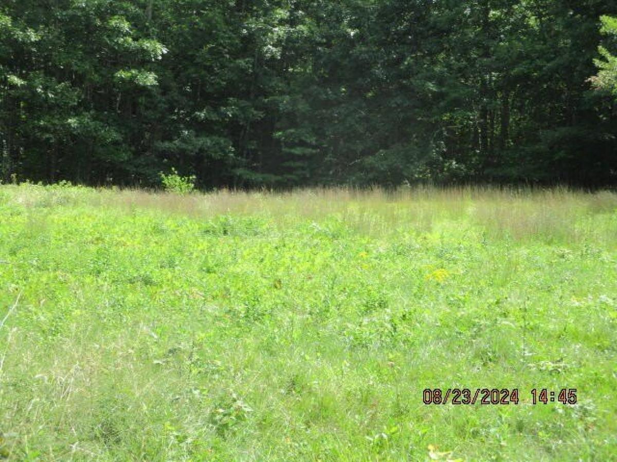 Picture of Residential Land For Sale in Brunswick, Maine, United States