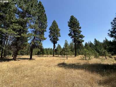 Residential Land For Sale in Goldendale, Washington