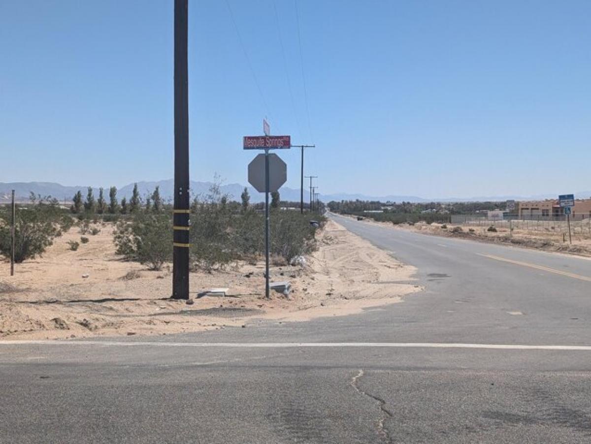 Picture of Residential Land For Sale in Twentynine Palms, California, United States