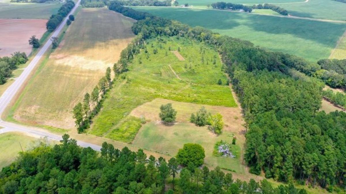 Picture of Residential Land For Sale in Hartford, Alabama, United States