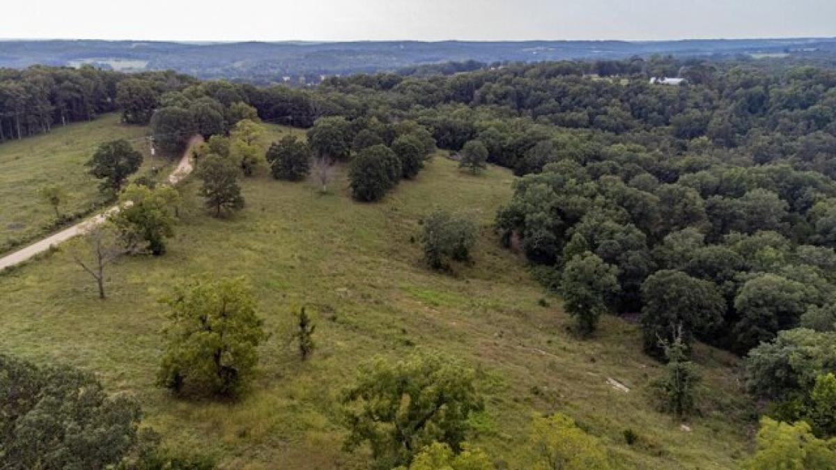 Picture of Residential Land For Sale in Bland, Missouri, United States