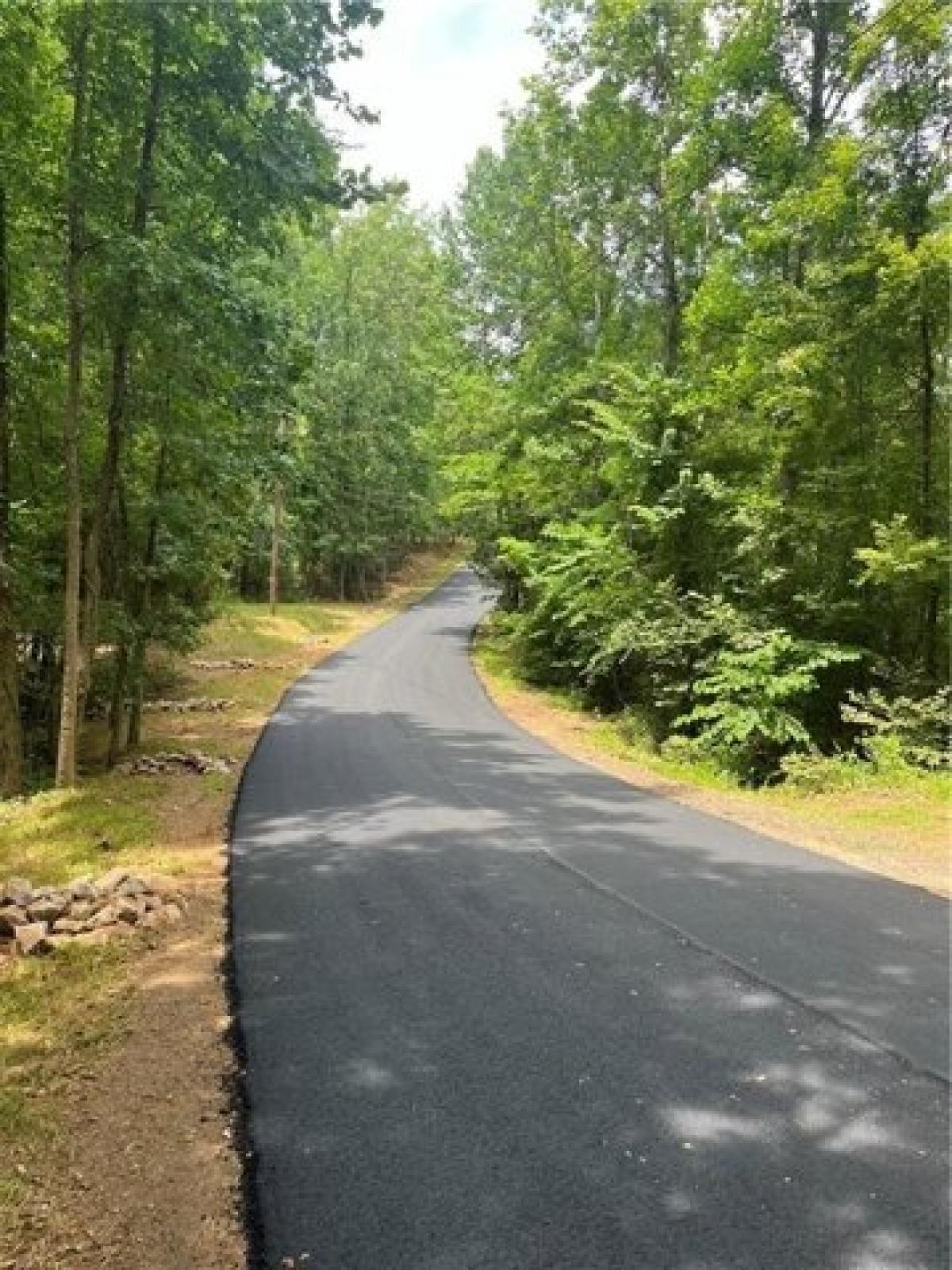 Picture of Residential Land For Sale in Dadeville, Alabama, United States