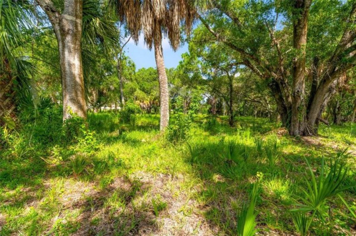 Picture of Residential Land For Sale in Oldsmar, Florida, United States