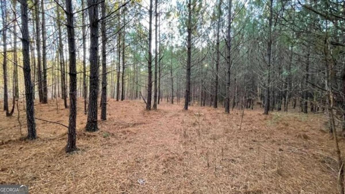 Picture of Residential Land For Sale in Douglasville, Georgia, United States