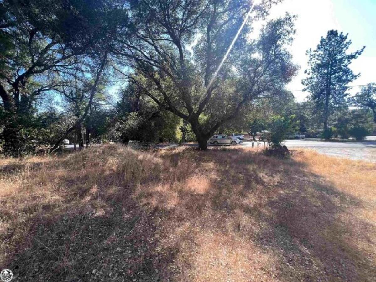 Picture of Residential Land For Sale in Sonora, California, United States