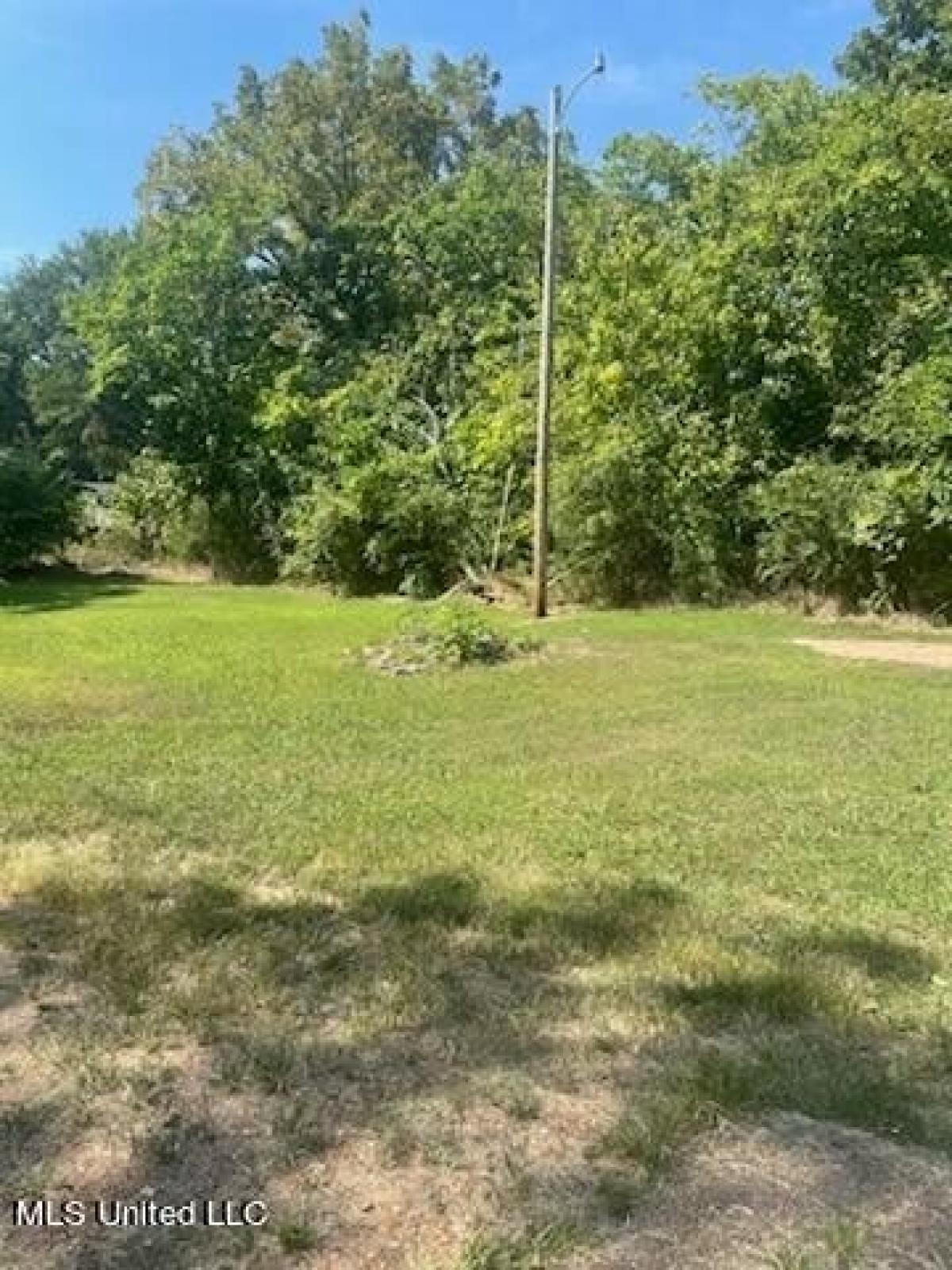 Picture of Residential Land For Rent in Como, Mississippi, United States