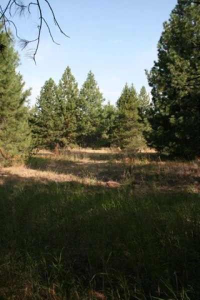 Residential Land For Sale in Deer Park, Washington