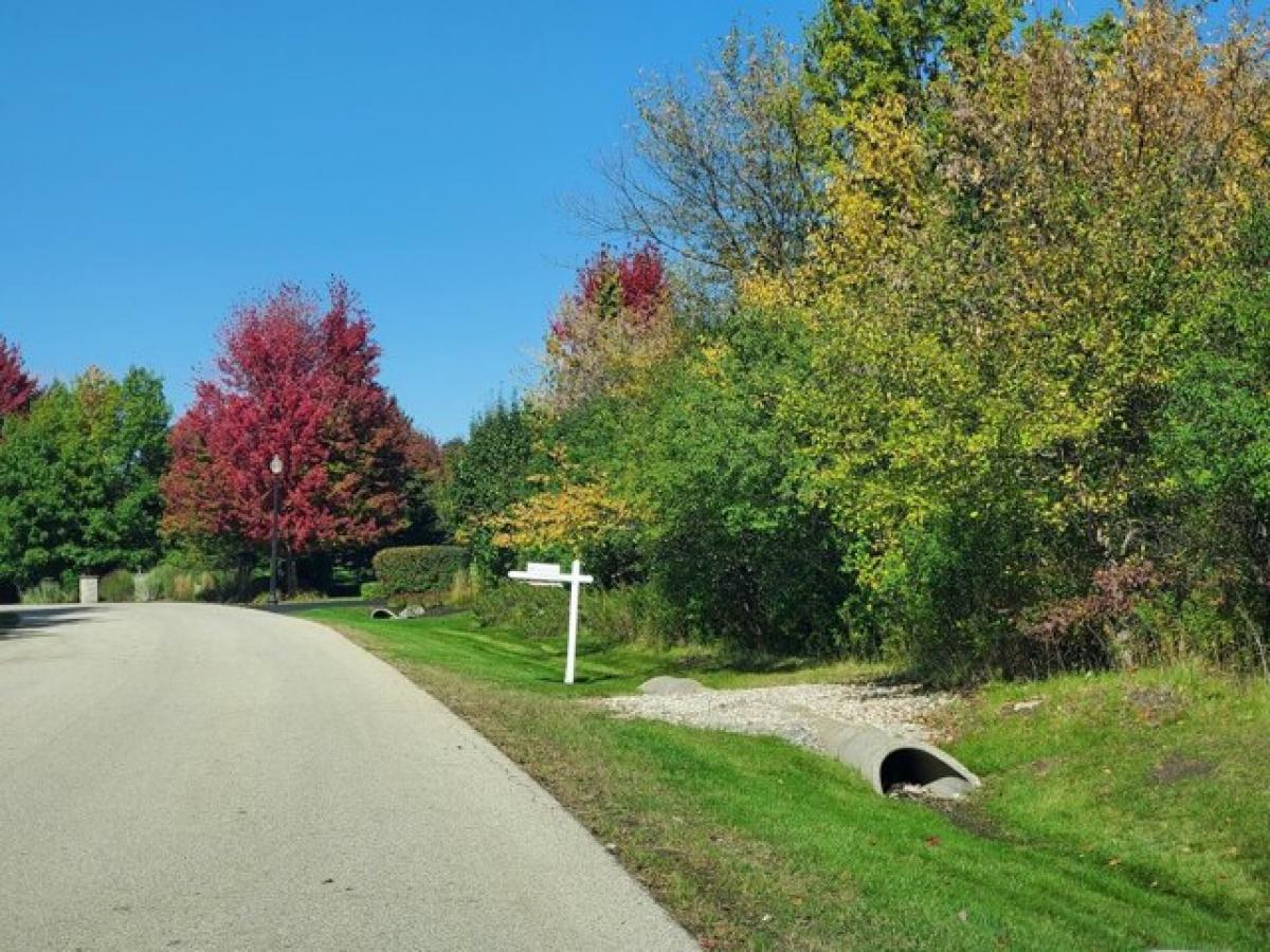 Picture of Residential Land For Sale in Wadsworth, Illinois, United States