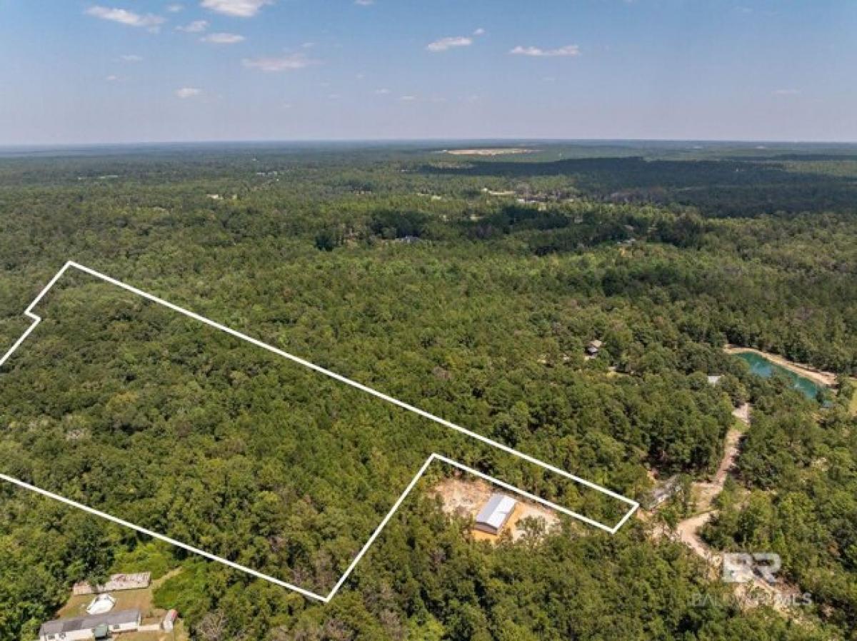 Picture of Residential Land For Sale in Bay Minette, Alabama, United States