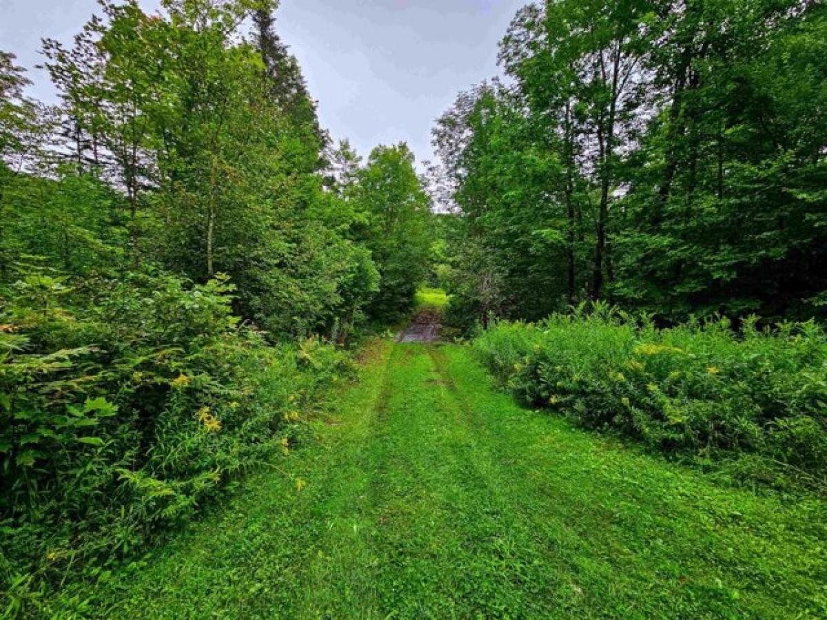 Picture of Residential Land For Sale in Corinth, Vermont, United States