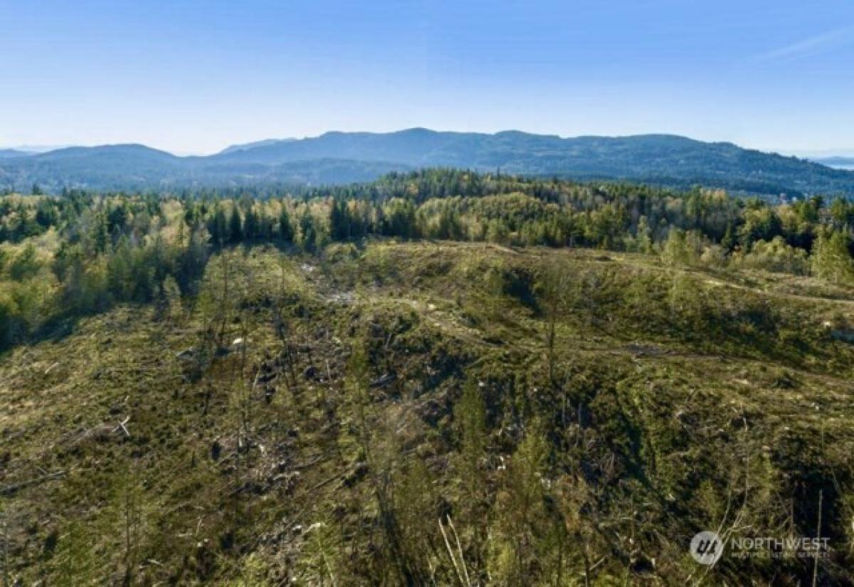 Picture of Residential Land For Sale in Bellingham, Washington, United States